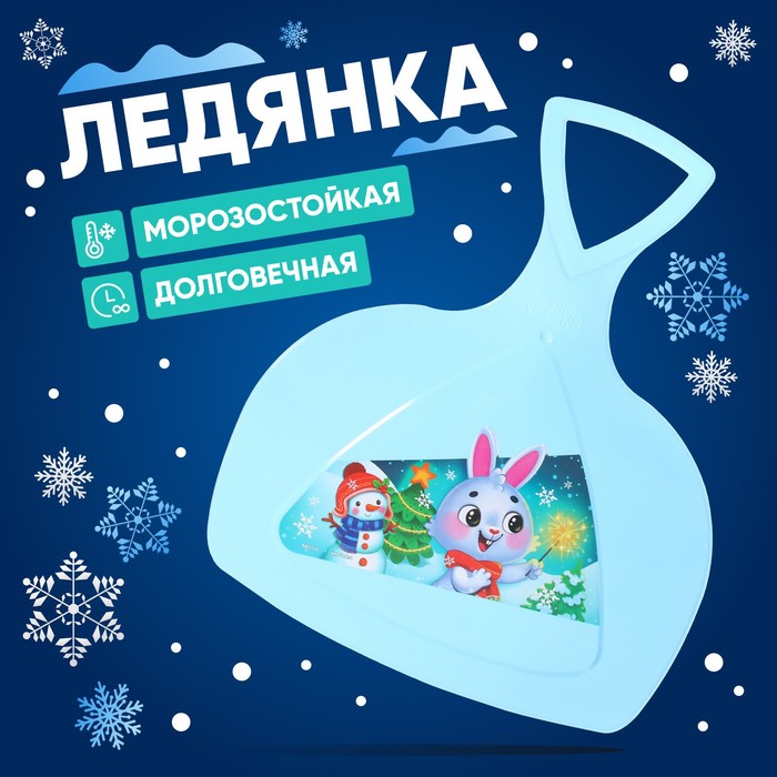 Ледянка "Новогодний заяц "