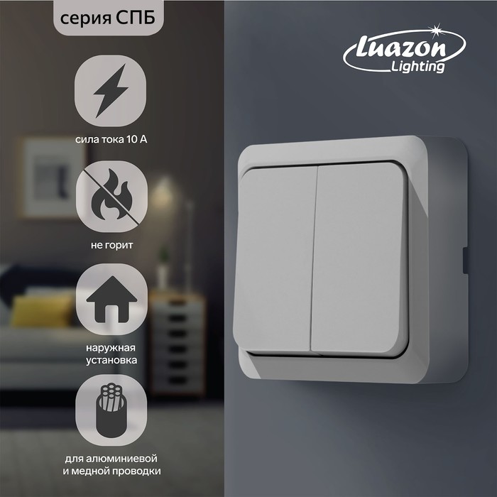 Выключатель Luazon Lighting "СПБ", 10 А, 2 клавиши, белый